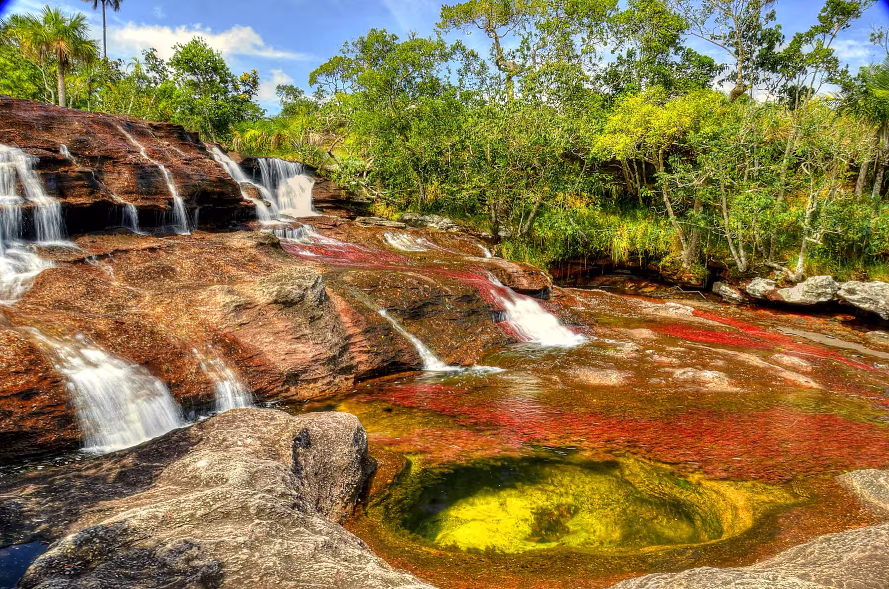 Cascadas del Manto de la Virgen en Caño Cristales, con el lecho del río rojo y amarillo